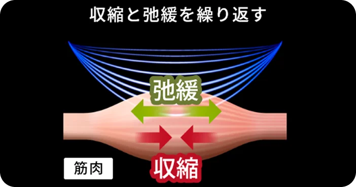 EMSsection5